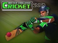 Cricket Batter Challenge Sports Game