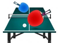 Table Tennis Pro Online Game