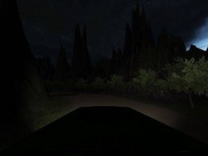 Wild Path Driving