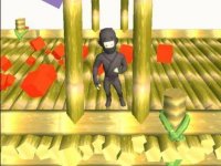 Ninja Runs 3D Online Game