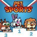 Pet Olympics Online Game