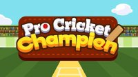 Pro Cricket Champion Online Game